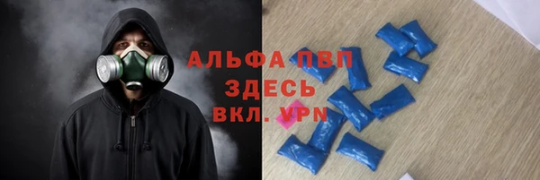 ешки Алексин