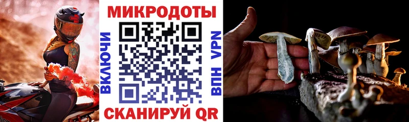 блэк спрут сайт купить наркотик Мещовск Псилоцибиновые грибы прущие грибы